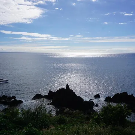 Freda House Funchal (Madeira)